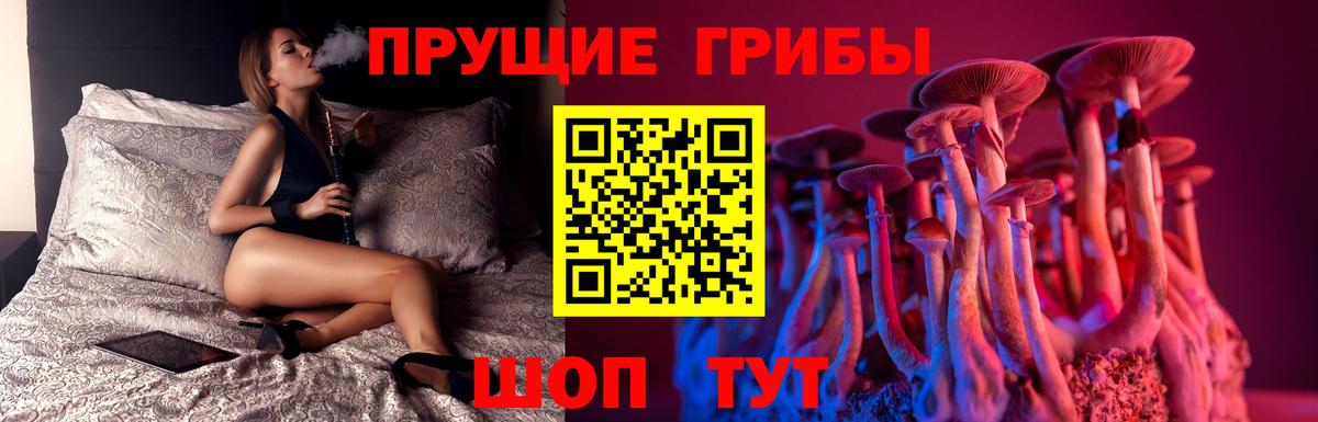 Галлюциногенные грибы Psilocybine cubensis  Вход с VPN  Кандалакша  Псилоцибиновые грибы мухоморы 